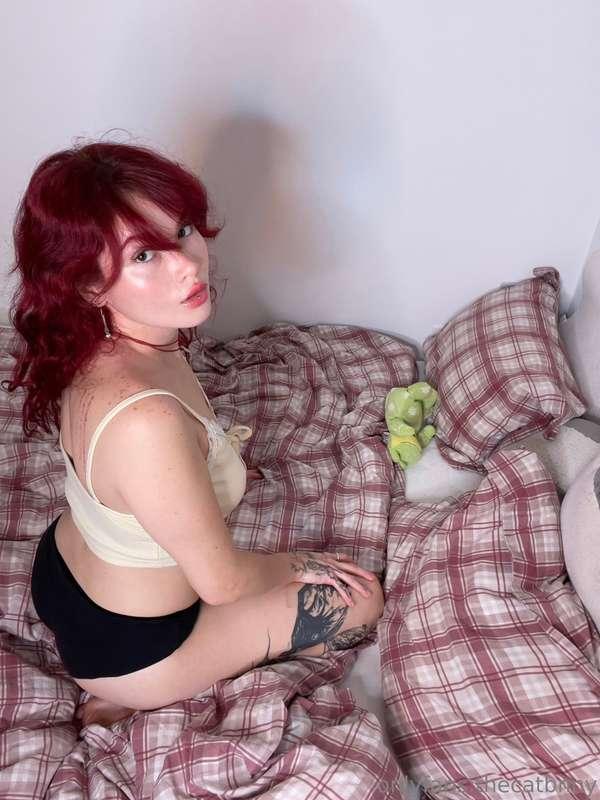 thecatbnny image #13