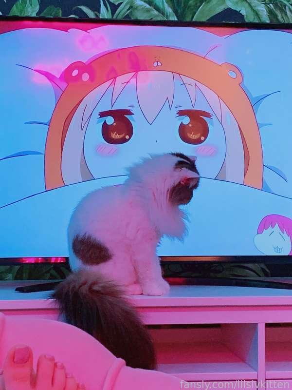 lilslvkitten image #3