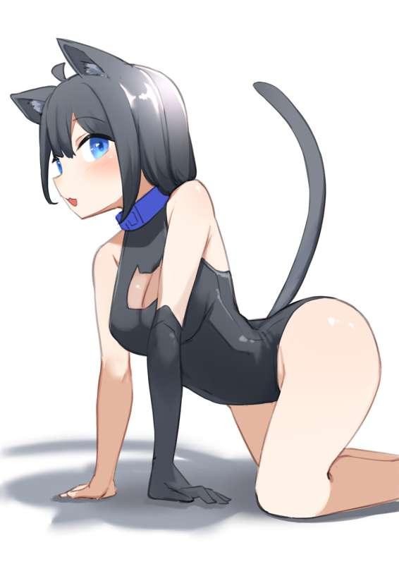 Aug. 7. 2023 (M18 Black cat)