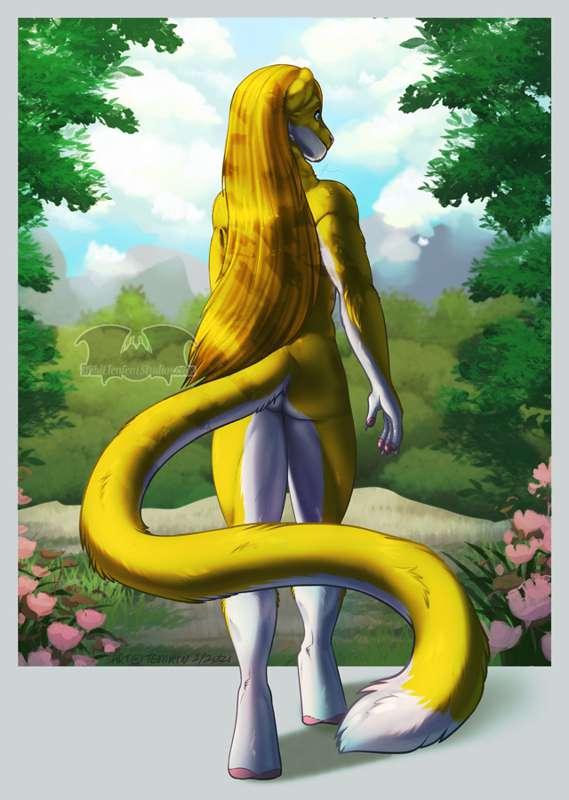 Passive Commission - WDG Long Hair Version