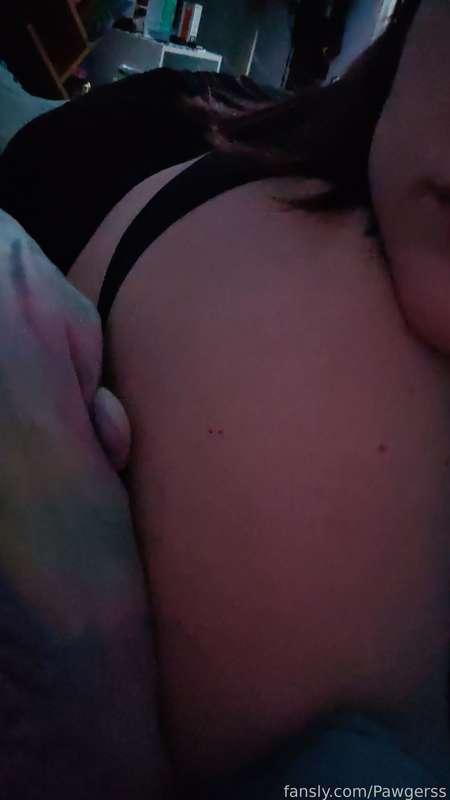 pawgerss image #1