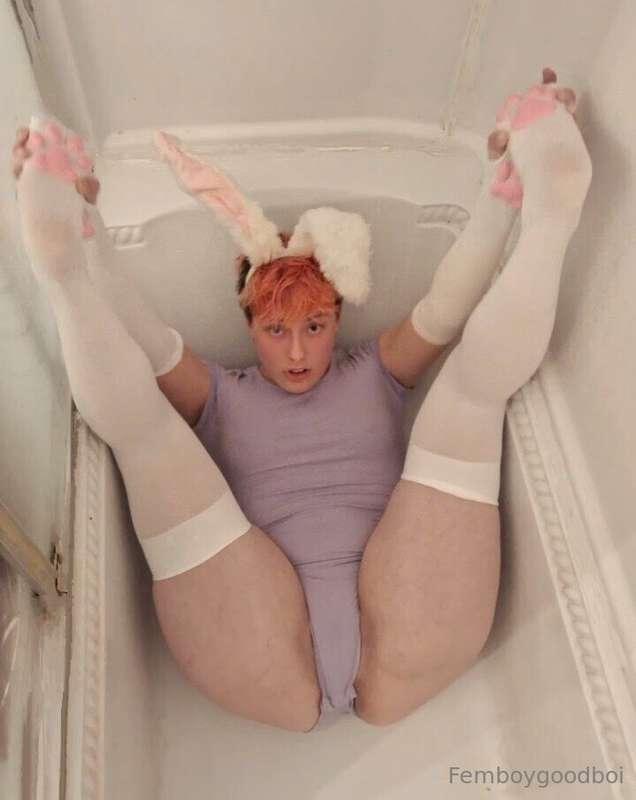 brattypuppybite image #2