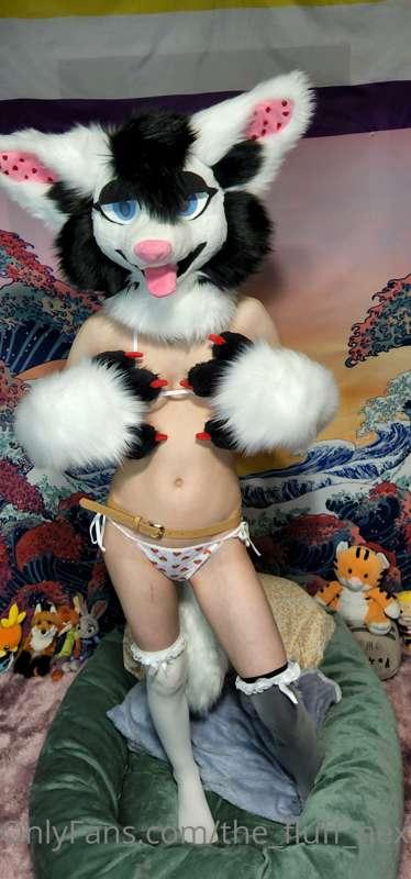 the_fluff_nextdoor image #1