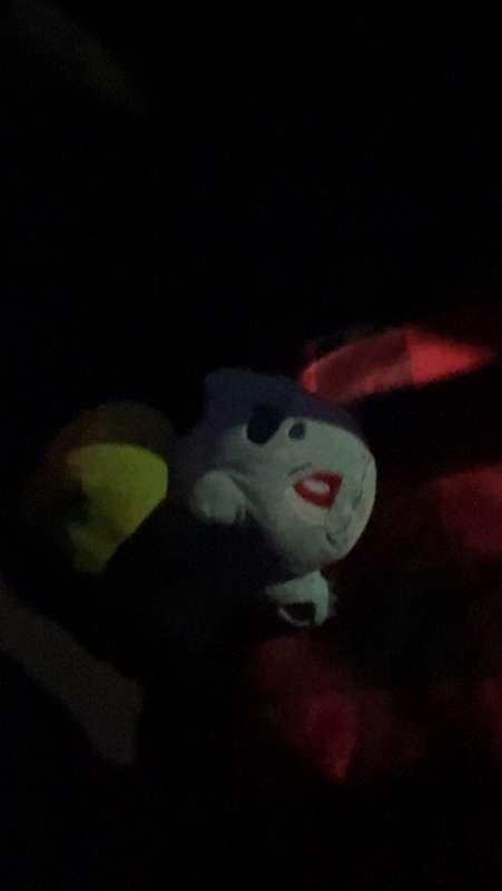 POV you’re the pokemon I keep in my car