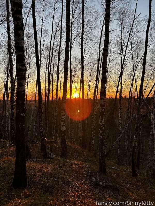 Went out for a walk with my dog in such lovely weather 🐶 Catching sunsets and enjoying the smell of pine trees 🌲 How's your day going? 

• #pussy #tits #smalltits #boobs #young #petite #petitegirl #fyp #tiktok #barelylegal #nerd #cute •