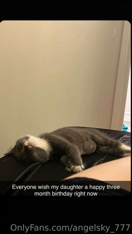 Omggg guys look at my new kitten I just adopted!!! Isn’t she..