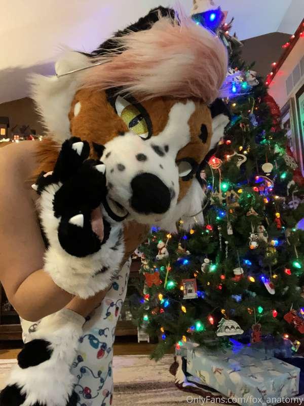 It’s not too late to get your favorite fox a gift for the ho..