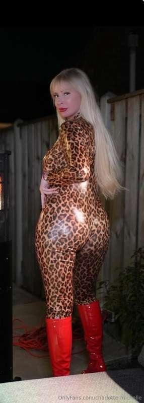 Doe niet tijger als je pussy bent 🐅