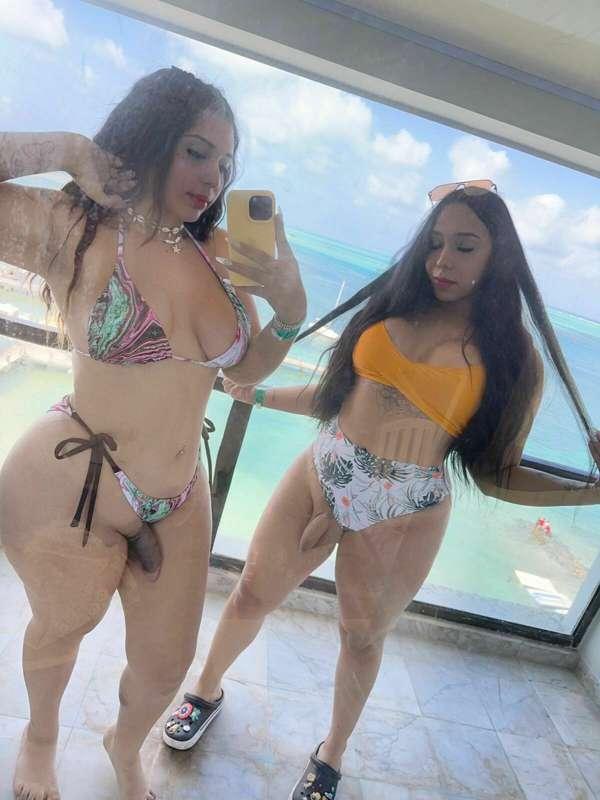 How do our cocks look in front of the sea?