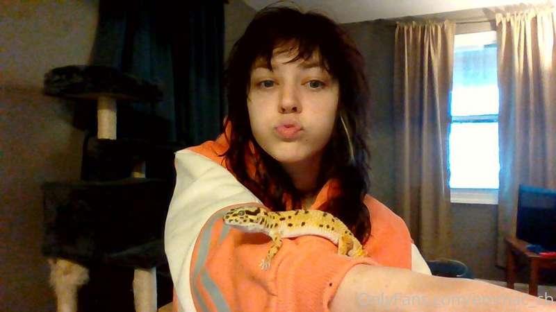 This is Elliot Calcifer, the cutest dang leopard gecko in th..