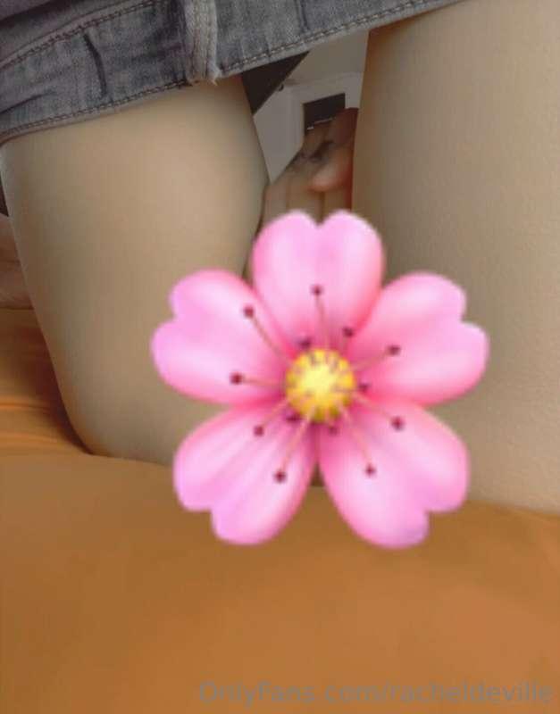 racheldeville image #10