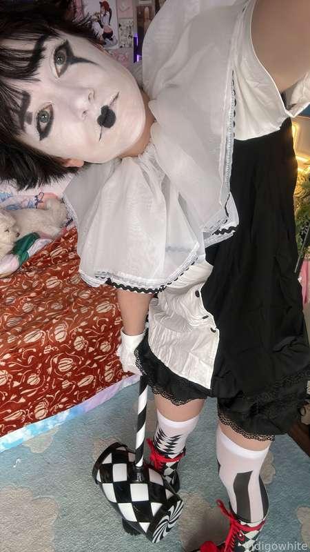 indigowhite image #23