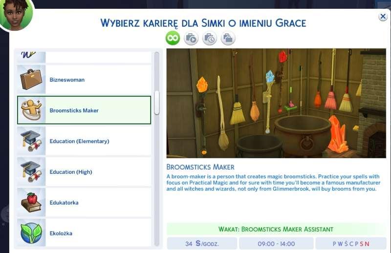 Broomstick Maker Career