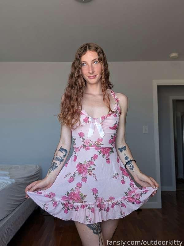 outdoorkitty image #4