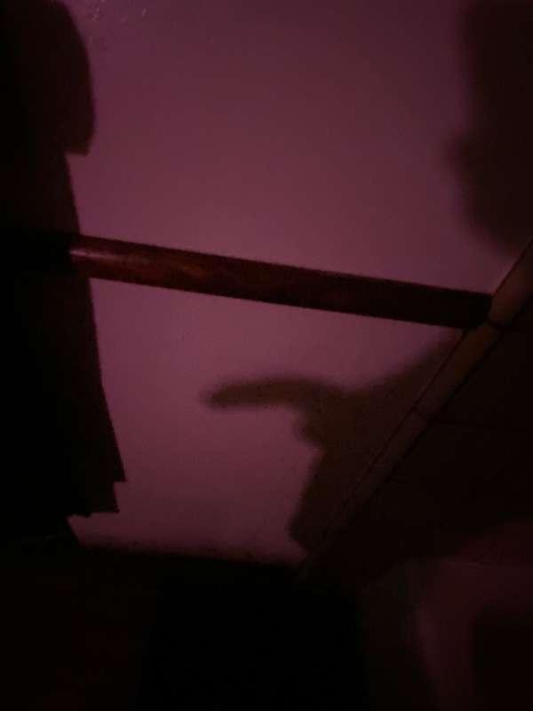 str8willl image #0