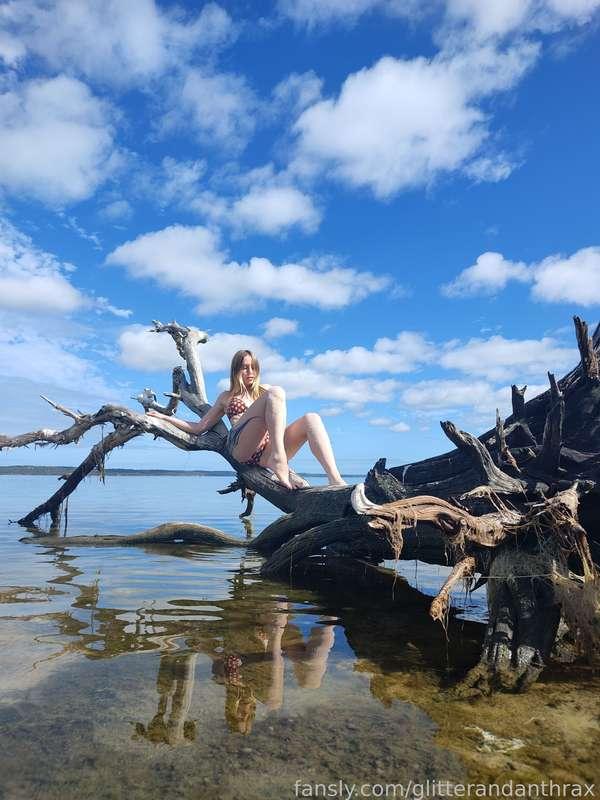 glitterandanthrax image #9