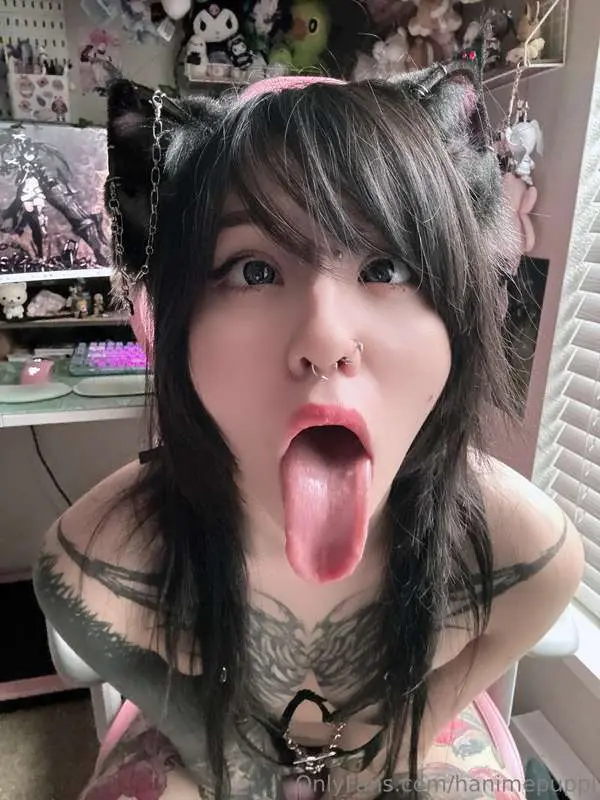 hanimepuppi main image