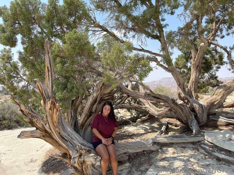 This place really felt like we were in The Lion King lol