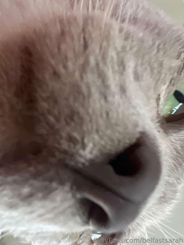 My one true love.