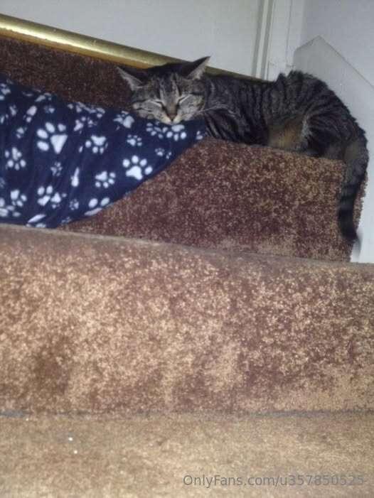 10 years ago todayI miss My Gizmo so much !!