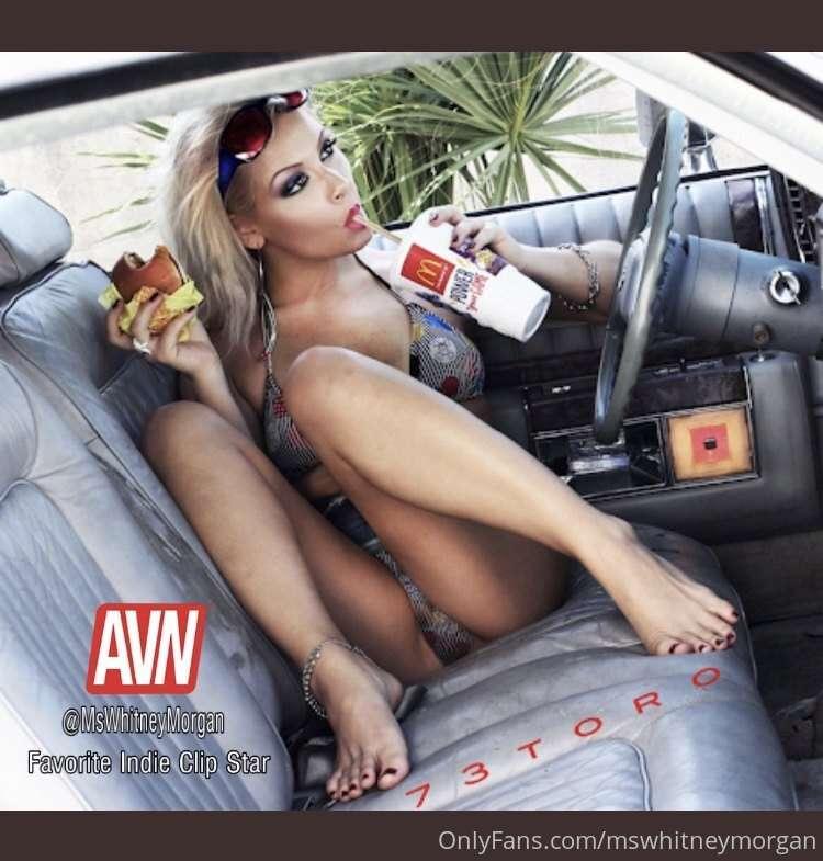 https://stars.avn.com/vote/10433/avn_awards/434#