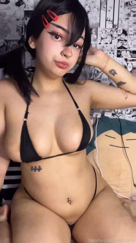 petmimi image #8