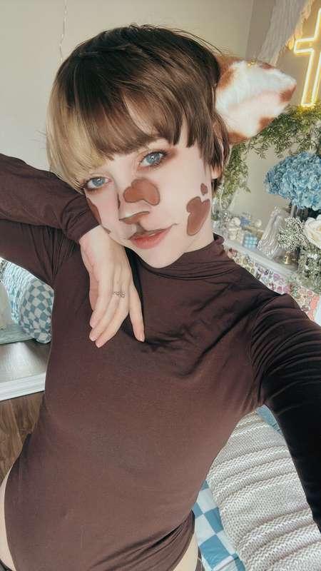 indigowhite image #1