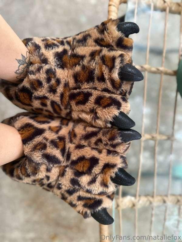Comfiest slippers ever!! 😸