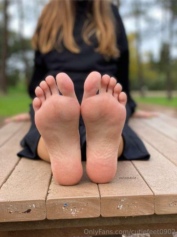 What would you make if you saw this in the wild? 🤭