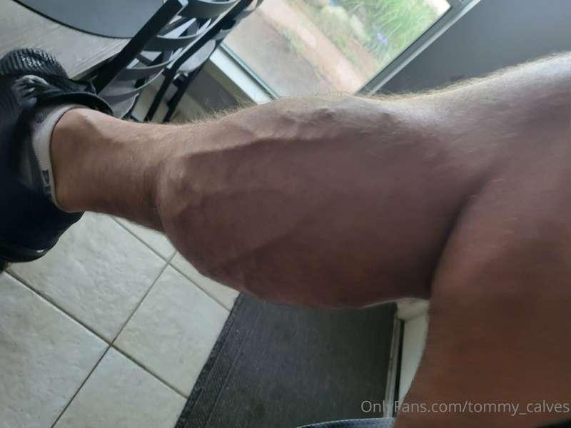 tommy_calves image #9