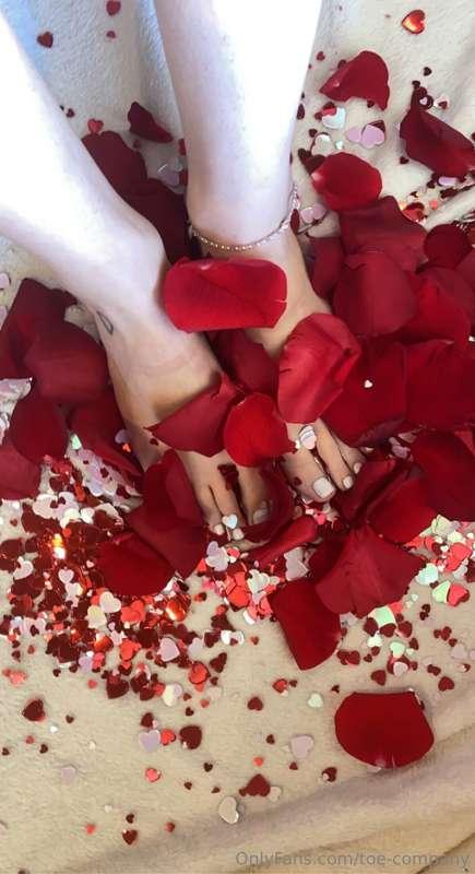 toe-company image #0