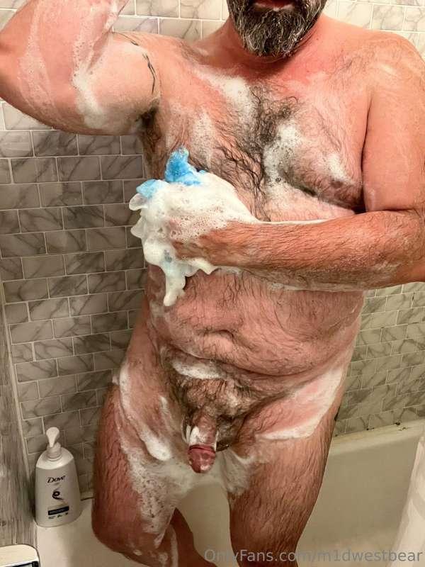 m1dwestbear image #1