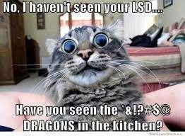 🐉😹
