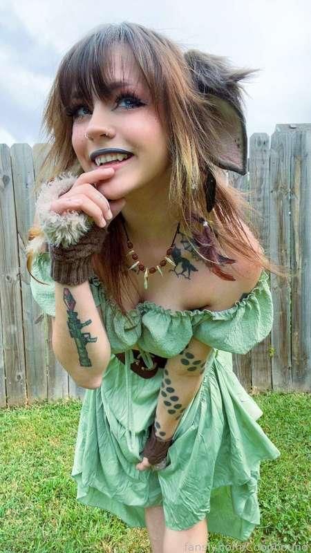 coophound image #19