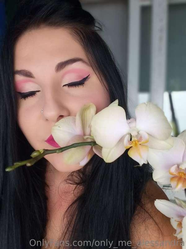 I love orchids, they are so delicate, take care of her, and ..