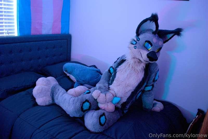 s-sorry where you saying something? I got distracted >W<