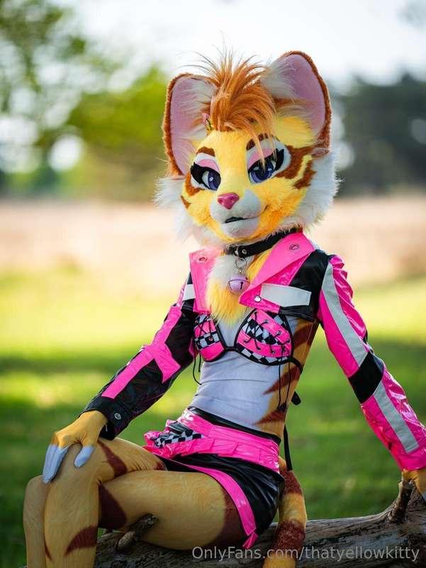 How’s your summer looking? 🥰Photo by @jekyllfox 