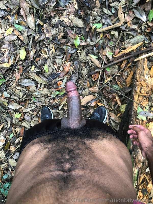 montalvaodott image #14