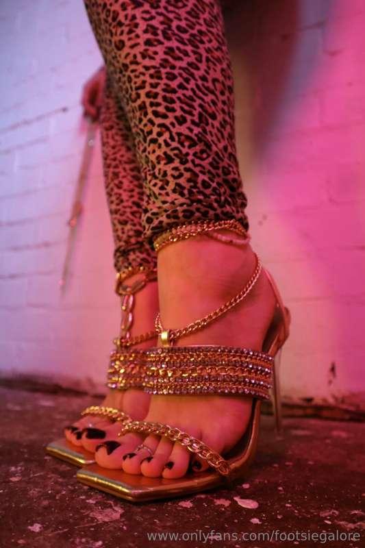 Dripping in gold diamonds and leopard print 🐆 I would have y..