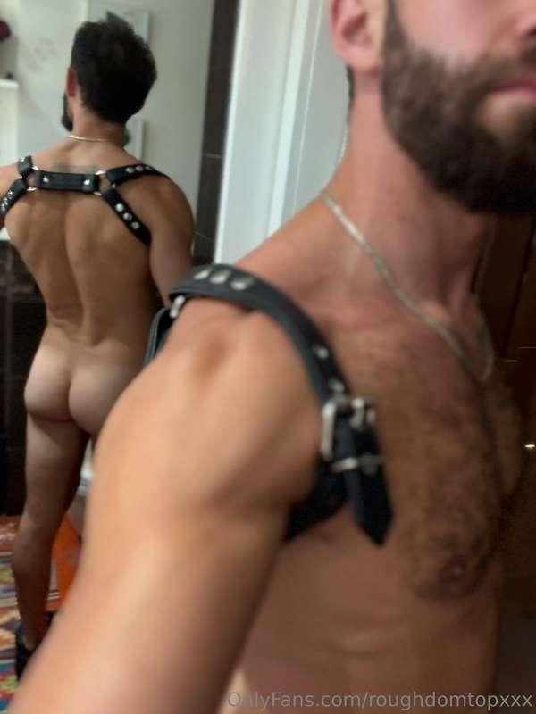 Like my new gift? 😛