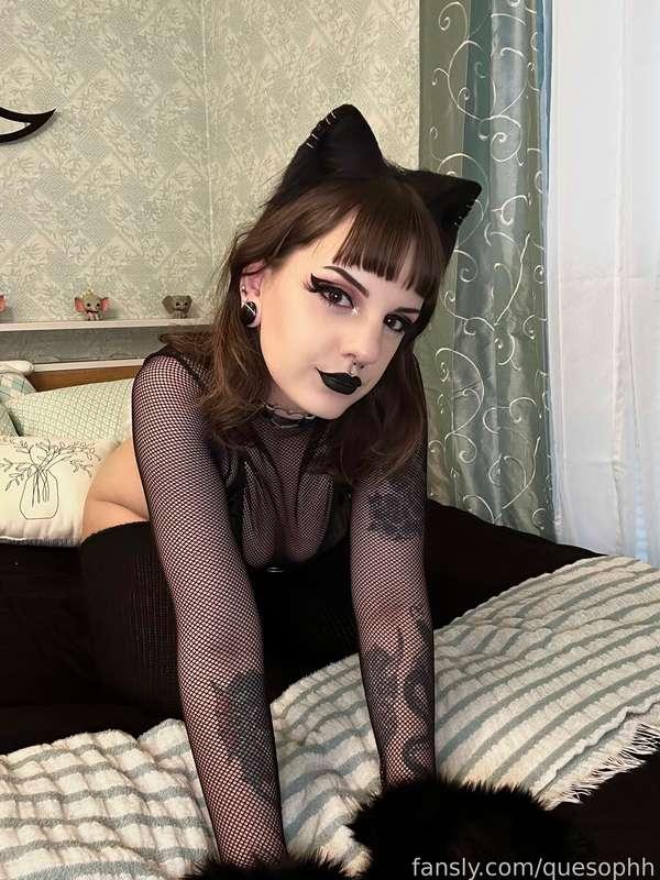 i can be ur pretty kitty 🖤🐾
