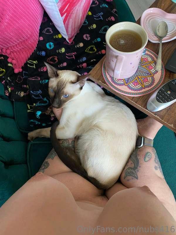My Sunday morning. How’s yours going? 😻