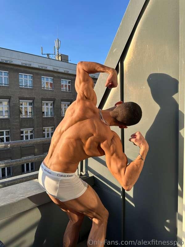 alexfitnesspro image #0