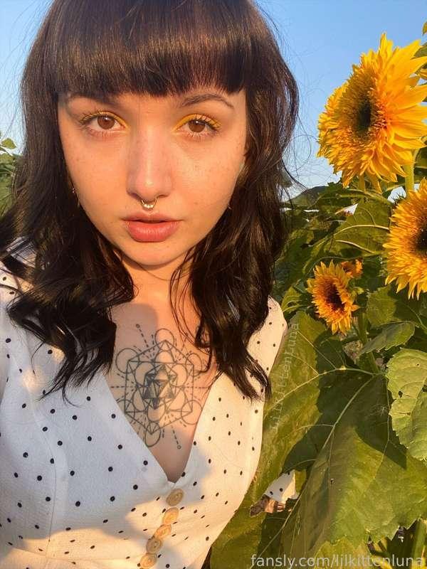 🌻