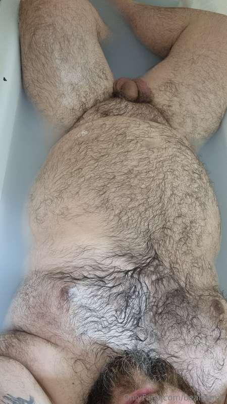 bearpamp image #0