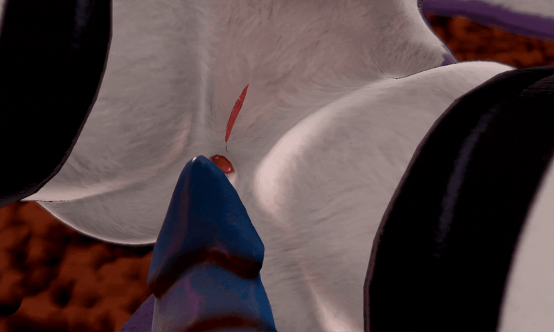 My tight ass gets so full from you (GIF)

Follow me everywhere: https://pixiepups.carrd.co

#furry #furrygirl #POV #erp #vrchat #vr #goodgirl  #anal #upclose #hentai #vtuber #anime #yiff  #straightfurry