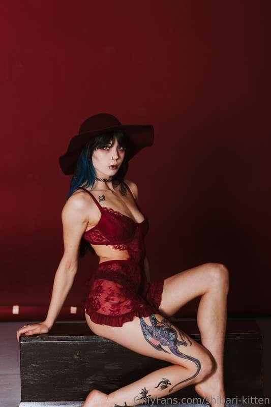 shibari-kitten image #2