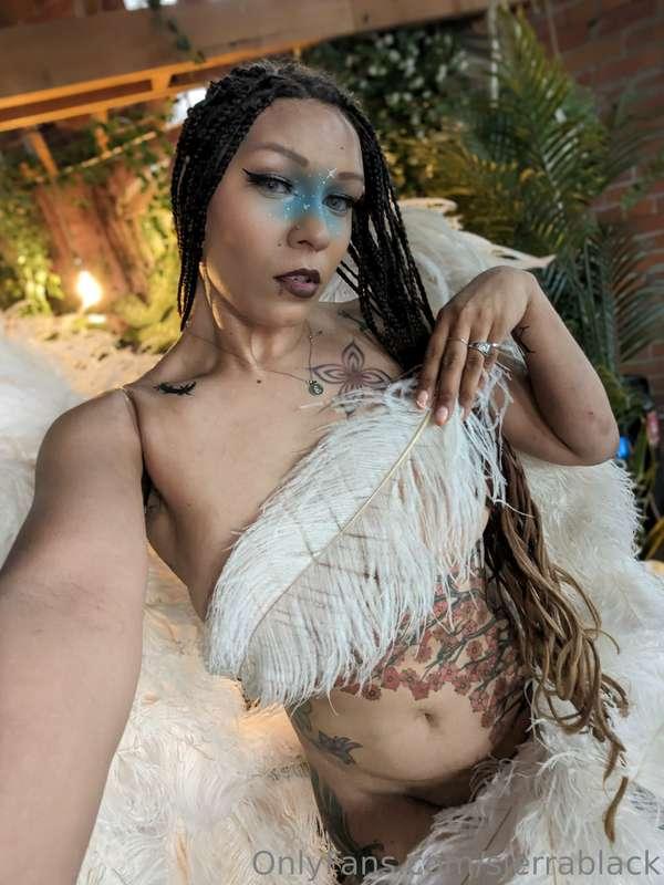 sierrablack image #14
