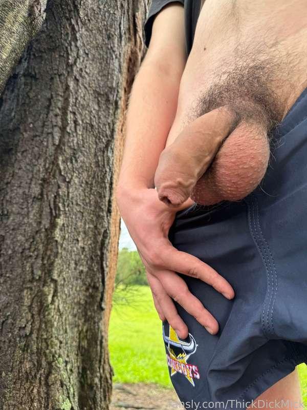 thickdickmick image #68