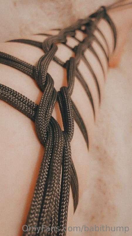 all tied up